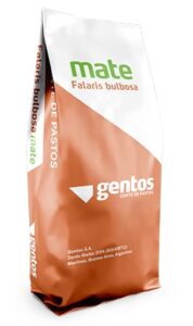 Gentos-Legumes-MATE-FALARIS
