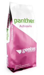 Gentos-Other-ACHICORIA-PANTHER